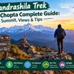 Chandrashila Trek from Chopta Complete Guide: Summit, Views & Tips
